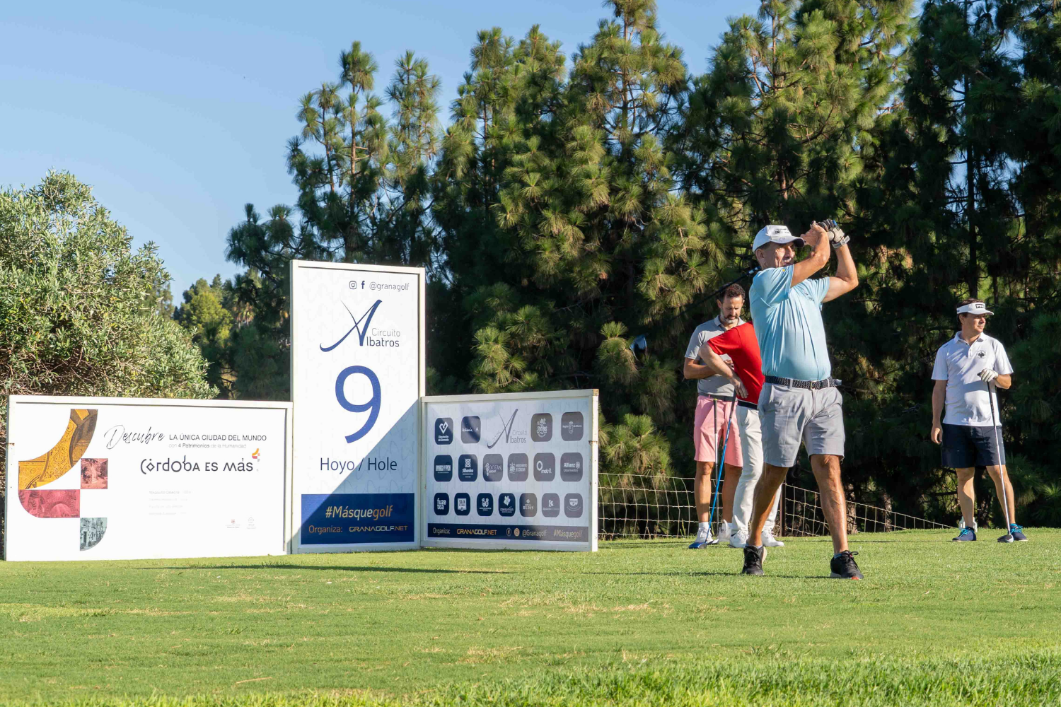 Diseno sin titulo496